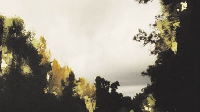 espec Muscio_opt.jpeg