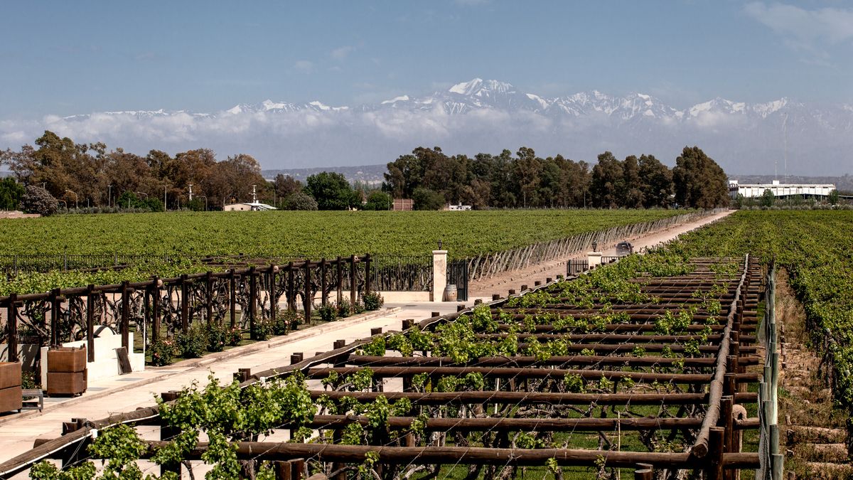 What to do in Mendoza: two unique experiences to enjoy