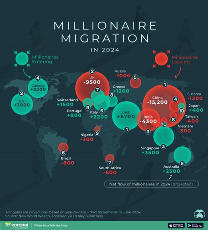 Gráfico de Visual Capitalist de la salida de capitales en 2024