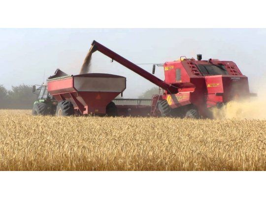 Se disparó 48,3% la liquidación de divisas y se redujo a 8% la brecha con 2016