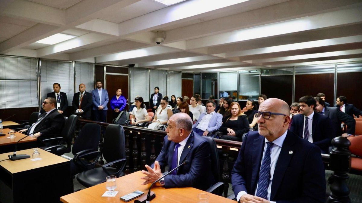 El Consejo de la Magistratura destituyó al juez Gastón Salmain