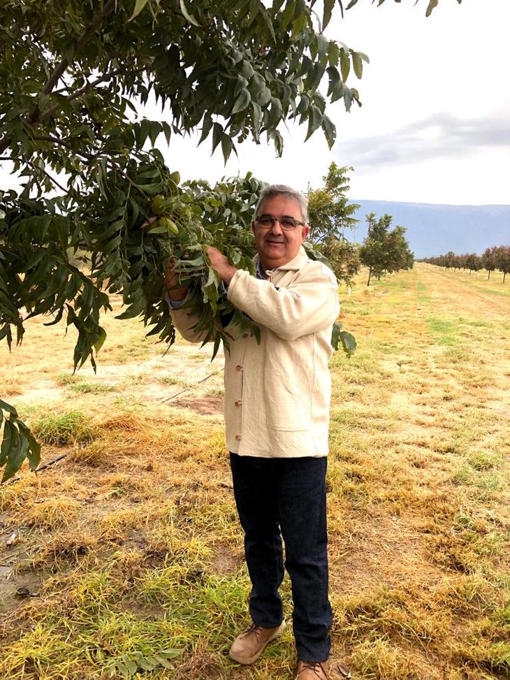 Gobernador Raul Jalil en plantación de nuez Pecan.
