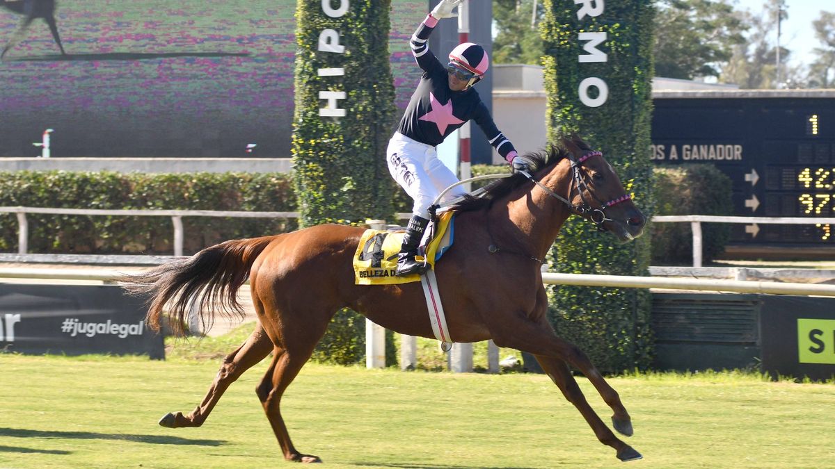 Belleza de Arteaga, the most expensive mare, will be able to leave the country: how much was she really worth?