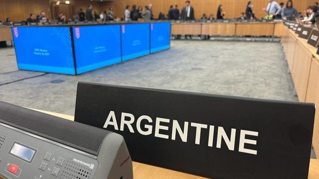 Una comitiva local viajará a Paris para conocer si Argentina entra en la lista gris o no.