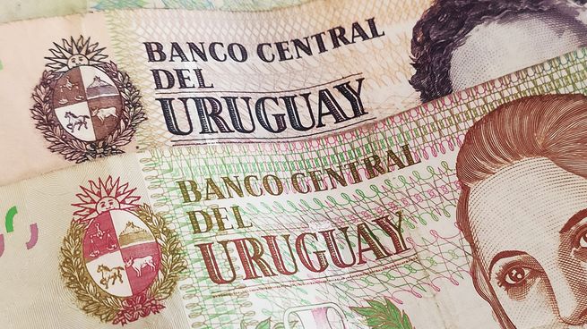 El Banco Central del Uruguay recortó la tasá de interés y algunos analistas se mostraron sorprendidos por la decisión.
