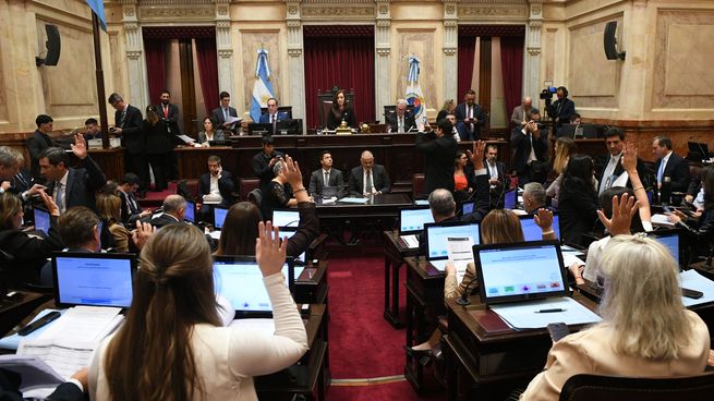 La Libertad Avanza apuntaba a darle media sanción a fin de mes.&nbsp;