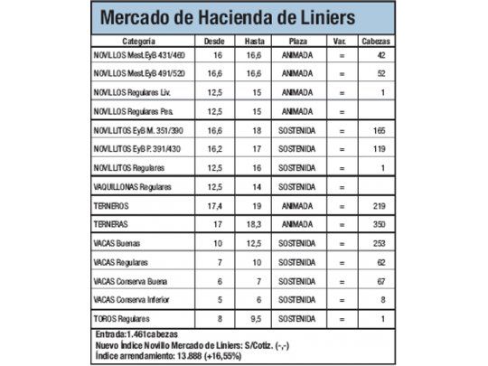 Pocas cabezas en Mercado de Liniers