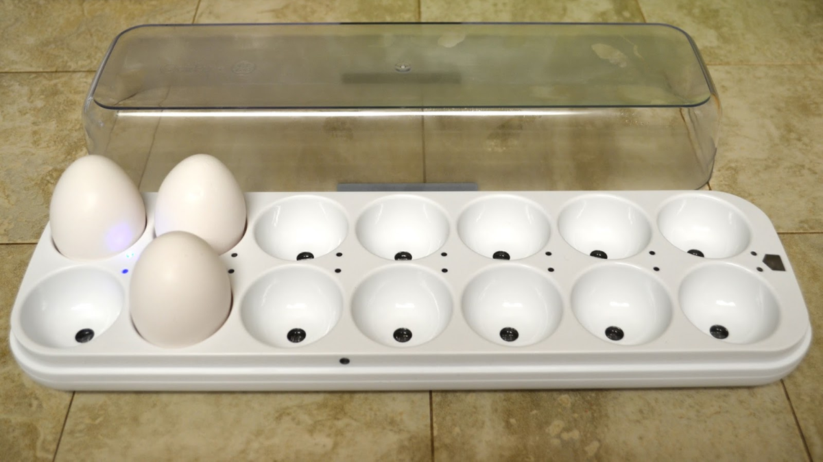Millionaire inventions: the smart egg cup that sends notifications to your cell phone and tells you when to buy more