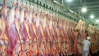 Argentina exportó 453.860 toneladas de carne a China entre enero y noviembre de 2025, cerca del límite que fijará la nueva regulación. Argentina exportó 453.860 toneladas de carne a China entre enero y noviembre de 2025, cerca del límite que fijará la nueva regulación.