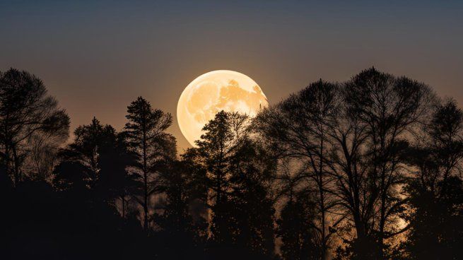 El nombre de Luna del Castor tiene sus raíces en los pueblos originarios de Norteamérica.