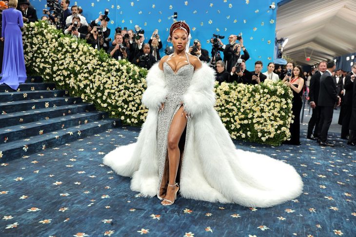 The American rapper Megan Thee Stallion. The American rapper Megan Thee Stallion.