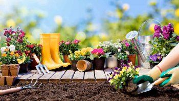 El riego es un aspecto fundamental para mantener el jardín verde y sano.