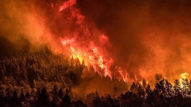 Avanzan los incendios forestales en Bariloche.