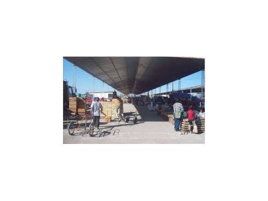 Ampliarían puestos de comercialización directa