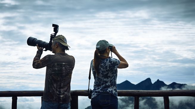 La niebla esconde un Edén: ¿Qué misterios guarda un mítico bosque cercano a Monterrey?