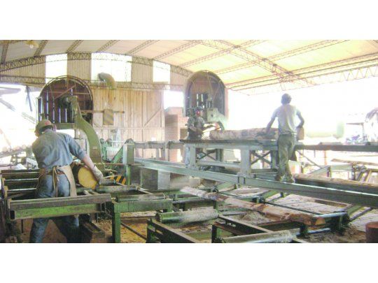 Alcance. La producción forestal, una de las actividades beneficiadas por los acuerdos con el Consejo Federal de Inversiones.