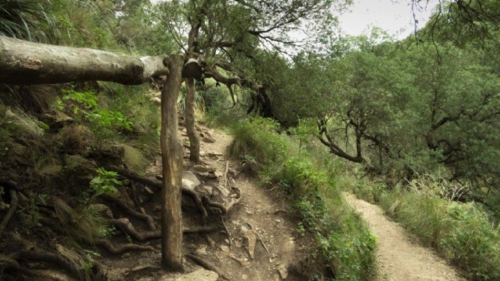 Con senderos, lagos y cascadas es ideal para los aventureros. Con senderos, lagos y cascadas es ideal para los aventureros.