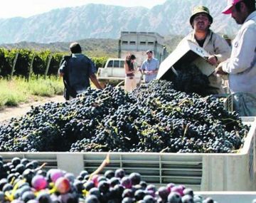El vino como factor de exportación y crecimiento económico