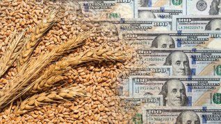 Las lluvias abundantes de los últimos meses en zonas agrícolas clave del país favorecieron el desarrollo del cultivo y explican buena parte de la mejora. Las lluvias abundantes de los últimos meses en zonas agrícolas clave del país favorecieron el desarrollo del cultivo y explican buena parte de la mejora.