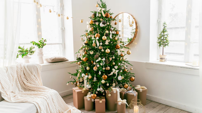 Fíjate dónde puedes poner tu árbol de Navidad, según el Feng Shui.