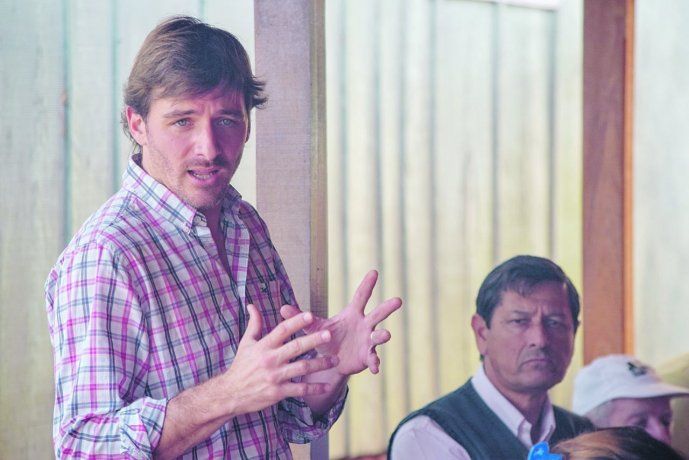 Variedad. Sebastián Ordiozabala, ministro del Agro y la Producción de Misiones, dijo que la provincia concentra el 95% del cultivo de Camellia sinensis con la que se elabora té negro, verde y rojo.&nbsp;