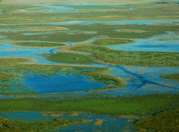 Esteros del Iber & aacute ;.