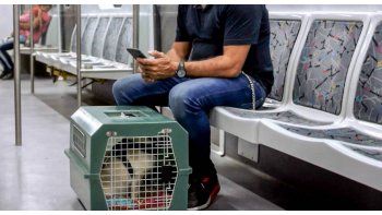 Desde este sábado, se podrá viajar con mascotas en el subte