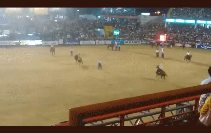 Murió un jinete aplastado por su caballo en el Festival de Jesús María