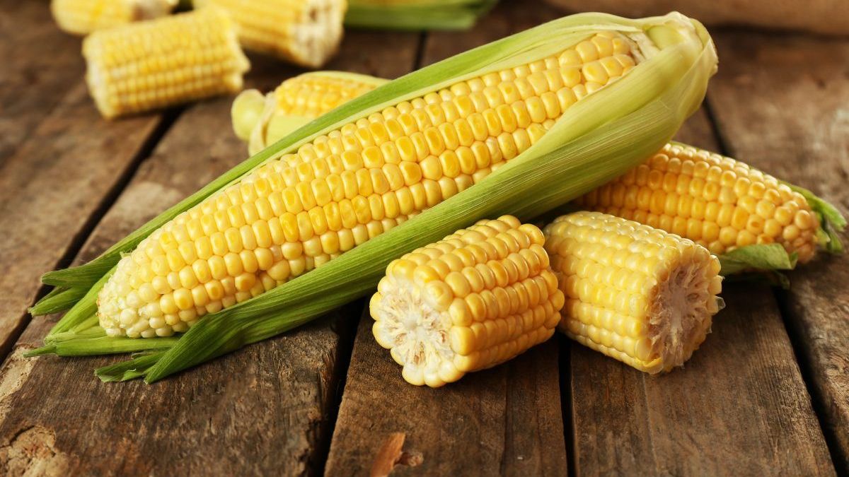 crosses for corn exports