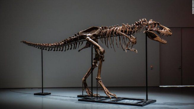 Rematan esqueletos de dinosaurios en Nueva York