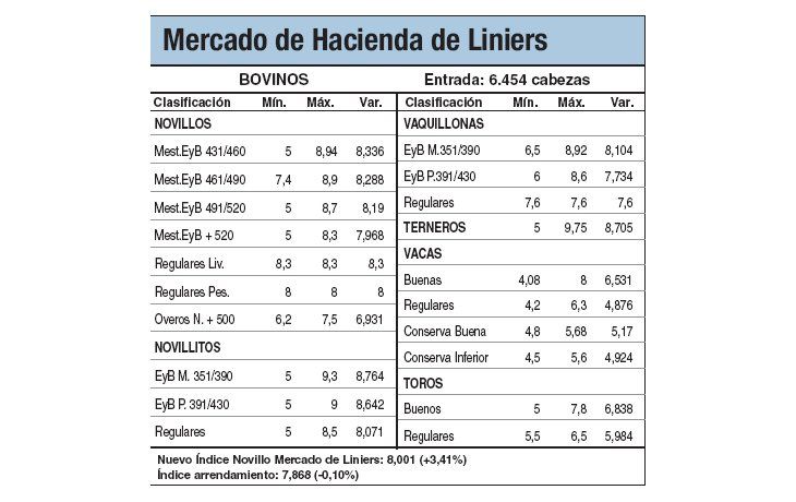 Precios récord para el novillo