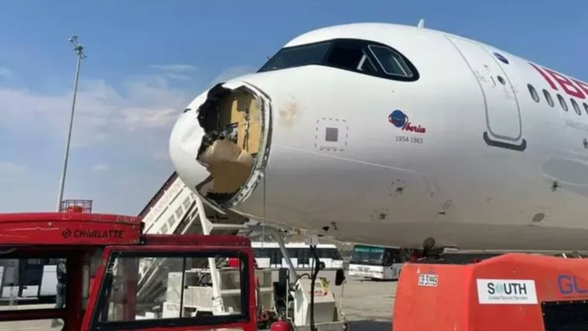 A vulture crashed into an Iberia plane that left for Paris and forced an emergency landing