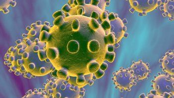 eeuu: prueban en humanos vacuna contra el coronavirus