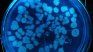 What is Hemolytic Uremic Syndrome and how can it be prevented?