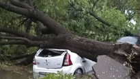 Violento temporal afectó localidades de Santa Fe.
