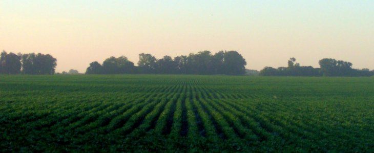 El mercado inmobiliario rural se encuentra en alza debido a la baja de los precios y la estabilidad del dólar. El mercado inmobiliario rural se encuentra en alza debido a la baja de los precios y la estabilidad del dólar.