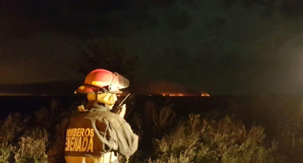 Luego de 16 horas, lograron controlar los incendios en Punta Lara (foto 3)