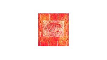 ámbito.com | Obra de Silvia Brewda