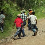 Cerca del 15% de los menores de 17 años trabaja en la Argentina. Cerca del 15% de los menores de 17 años trabaja en la Argentina.