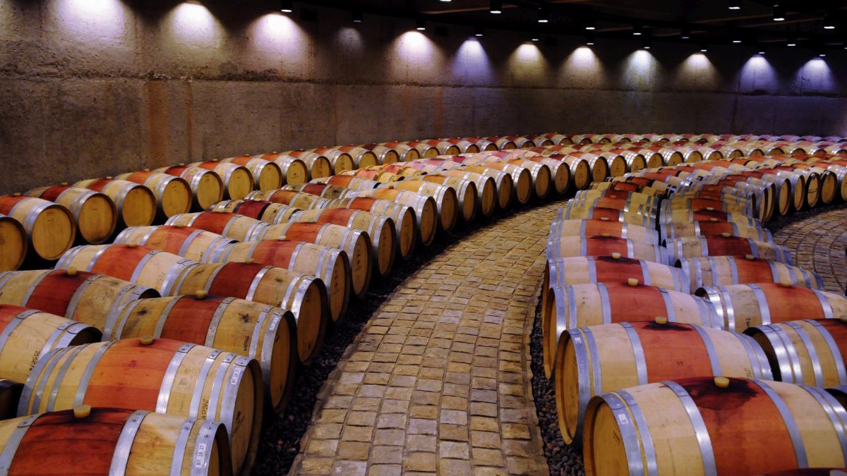 Argentine wines had record exports during 2021