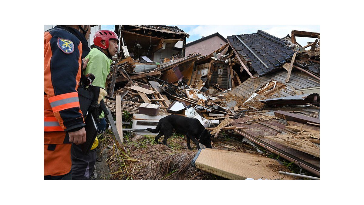 Elsa, the lifeguard who searches for survivors of the earthquake in Japan