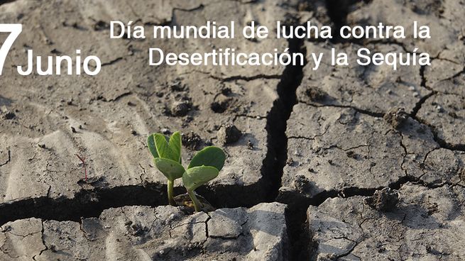 Imagen promocional contra la desertificación y la sequía de Ecologistas en Acción.