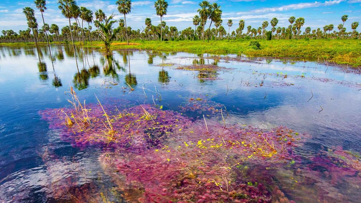 Formosa’s little known paradise that is a furor among ecological tourism
