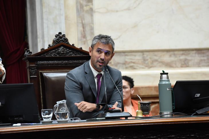 El presidente de la Cámara de Diputados, Martín Menem.