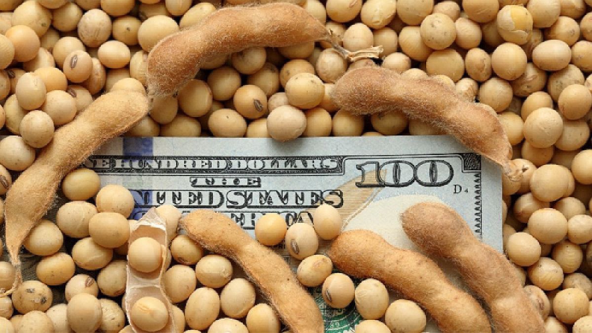 Farm currency settlement doesn’t take off as soybean crop suffers further cuts