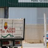 Las plantas están paralizadas y hubo más de 1.700 despidos entre Buenos Aires y Entre Ríos, aunque la Justicia dictó la conciliación obligatoria.&nbsp;