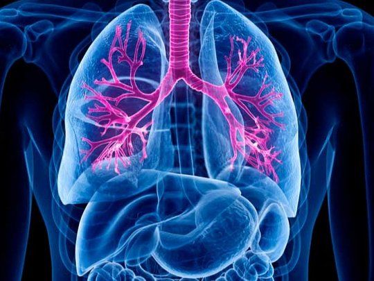 La Fibrosis Quística Pancreática fue incorprada al listado de enfemedades poco frecuentes.&nbsp;