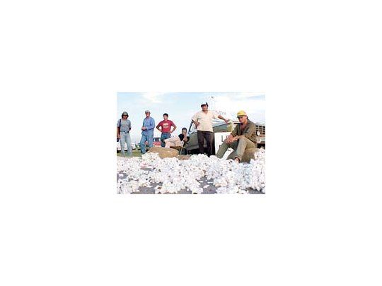 Fuerte protesta del campo chaqueño