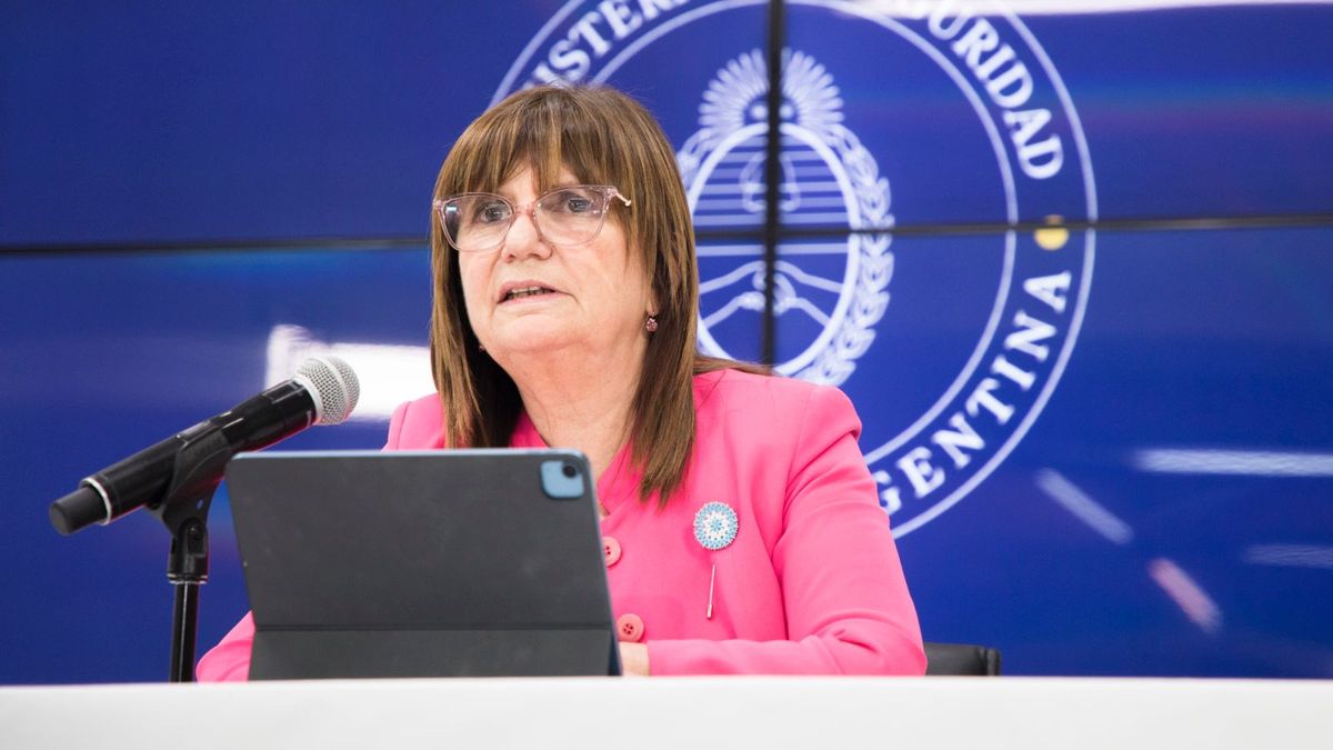 Patricia Bullrich Pidió A Diputados Del PRO Que Sean “coherentes” Para ...