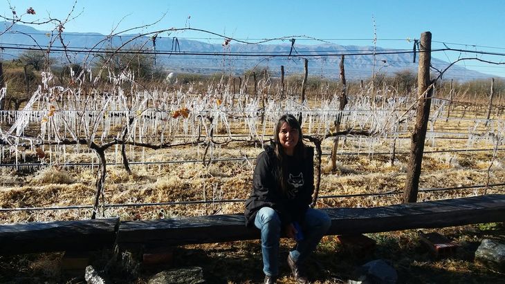 Silvia Gramajo, expresidenta de la entidad que aglutina a los bodegas tucumanas y referente del sector. Silvia Gramajo, expresidenta de la entidad que aglutina a los bodegas tucumanas y referente del sector.